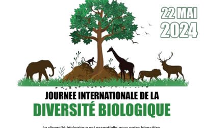 Journée Internationale de la Biodiversité Écologique